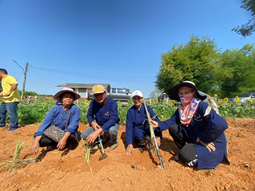 เอามื้อสามัคคี